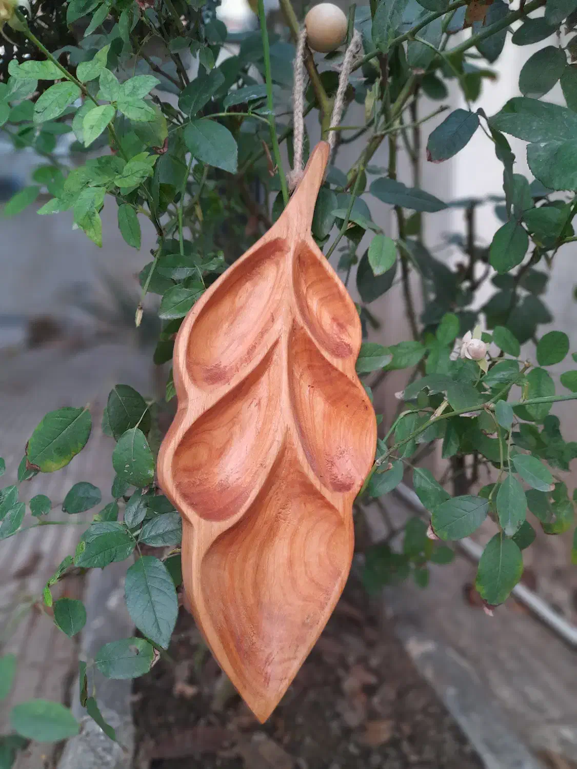 اردوخوری،تخته سرو،قاشق،کفگیر،ملاقه چوبی دستساز|صنایع دستی و سایر لوازم تزئینی|علیآباد کتول, |دیوار