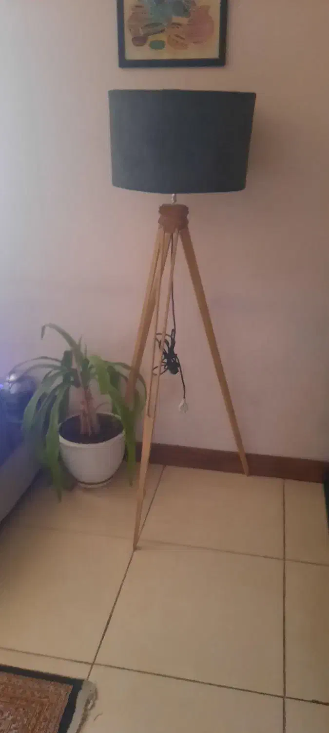 آباژور کنار سالنی|چراغ خواب و آباژور|شیراز, فرگاز|دیوار