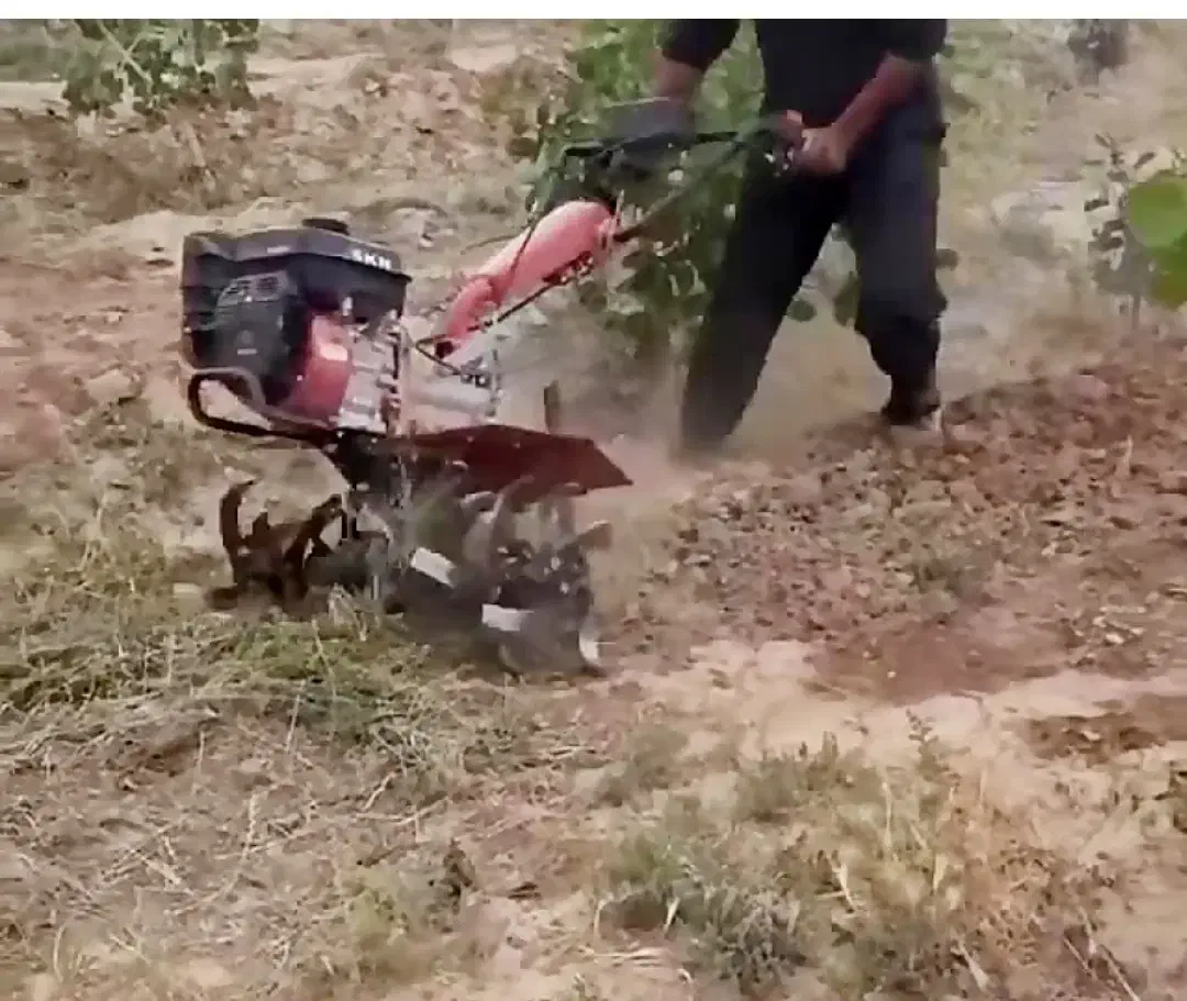 شخم زدن زمین زعفران با تیلر|خدمات باغبانی و درختکاری|سبزوار, قصبه شرقی|دیوار