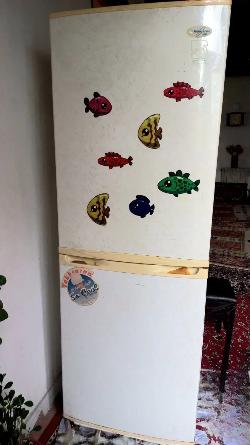 یخچال فریزر یخساران بدون پوسیدگی|یخچال و فریزر|رشت, جانبازان|دیوار