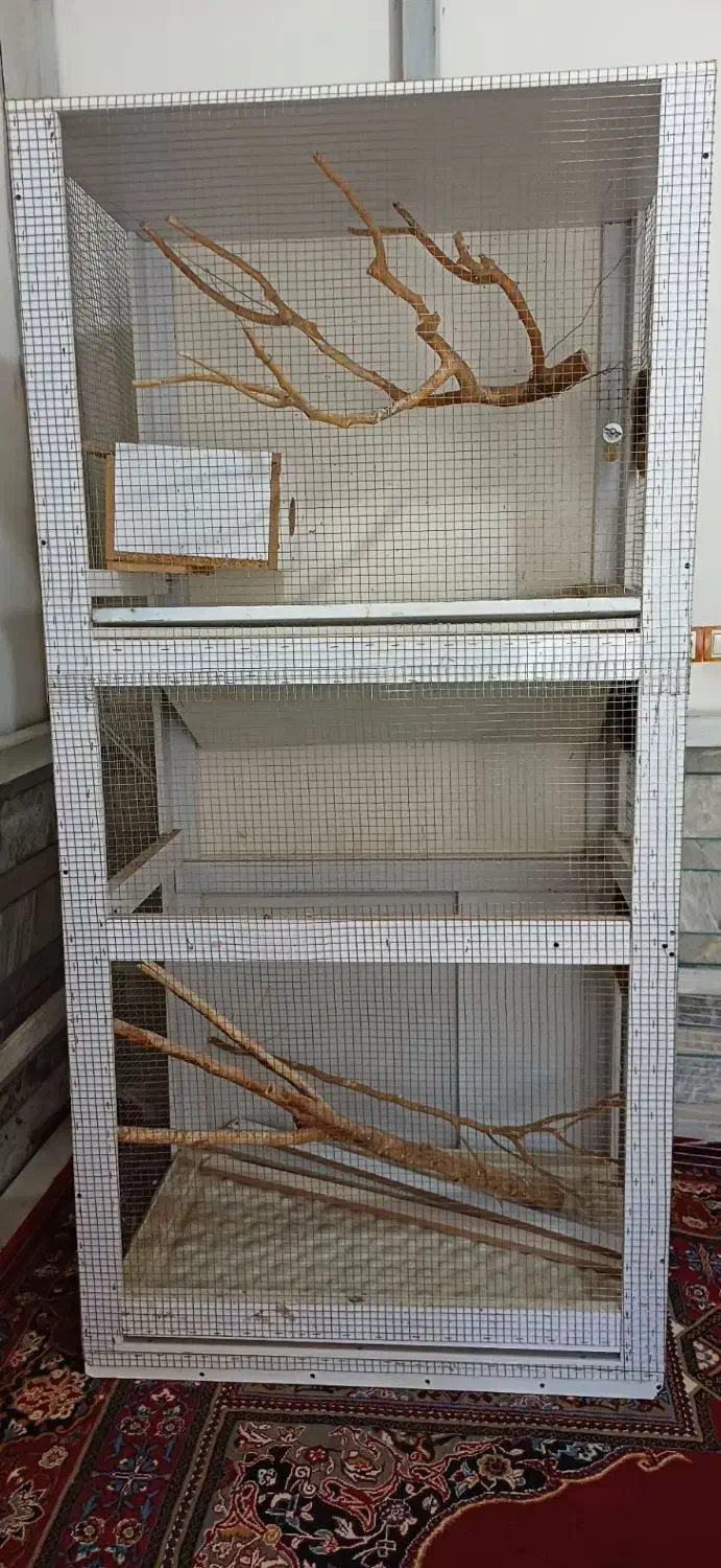 قفسه پرنده|لوازم جانبی حیوانات|زرند, |دیوار