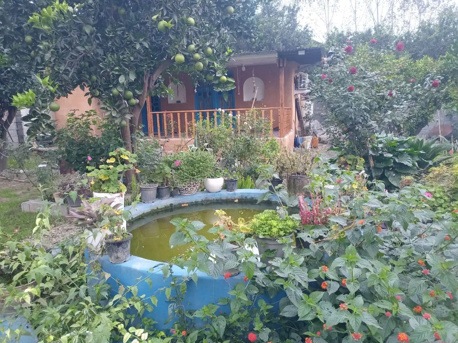 خونه باغ سنتی|اجارهٔ کوتاه‌مدت ویلا و باغ|آمل, |دیوار