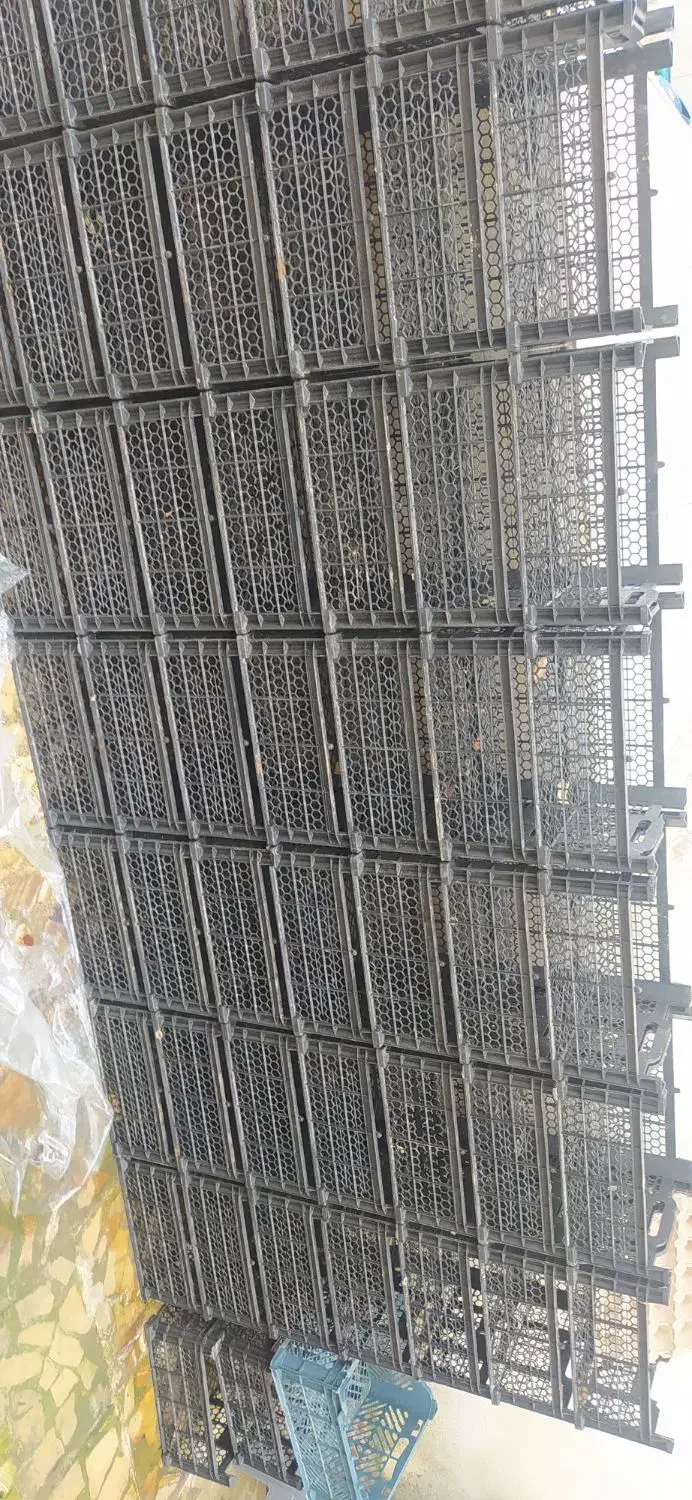 سبد میوه|ظروف نگهدارنده، پلاستیکی، یک‌بارمصرف|آستانه اشرفیه, |دیوار