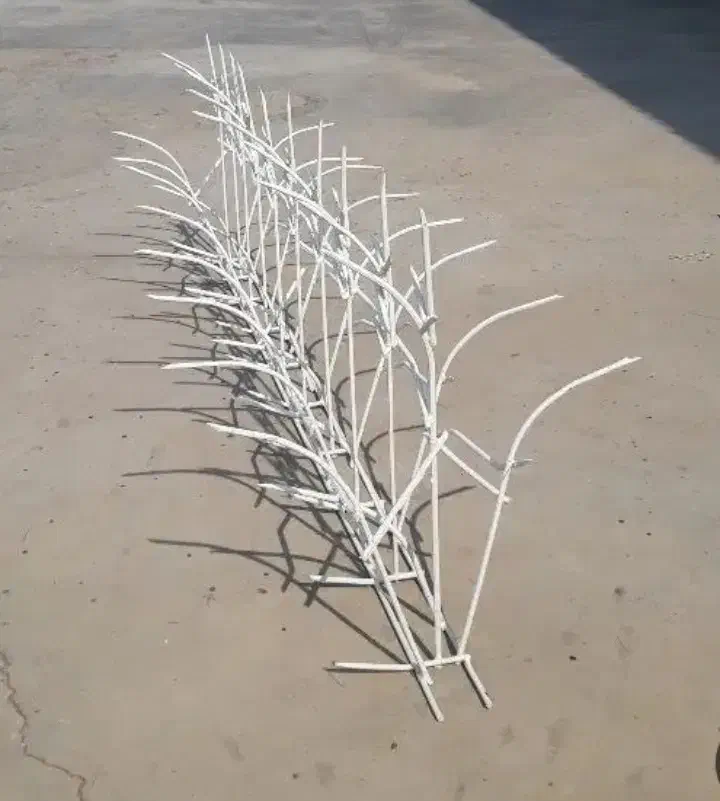 خانم عبدی - شاخ گوزنی با قیمت مناسب|خدمات پیشه و مهارت|سبزوار, کهنه آب|دیوار