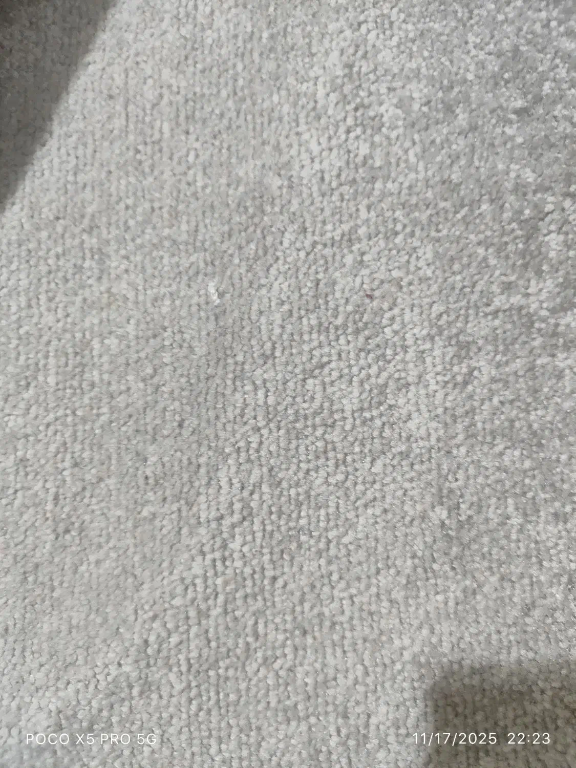 پالاز موکت در حدنو|موکت|تهران, فاطمی|دیوار