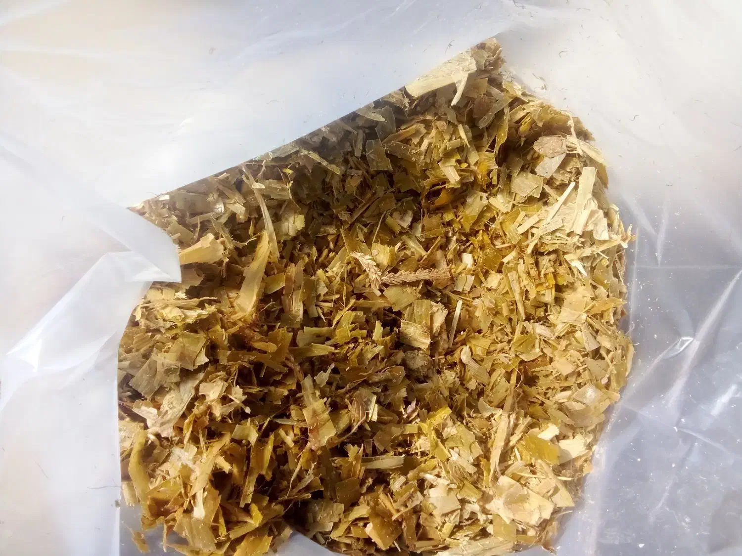 بلال|خوردنی و آشامیدنی|قیدار, |دیوار