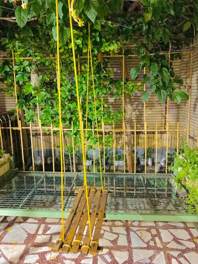 تخت حیاط|مبلمان خانگی و میز عسلی|زاهدان, |دیوار