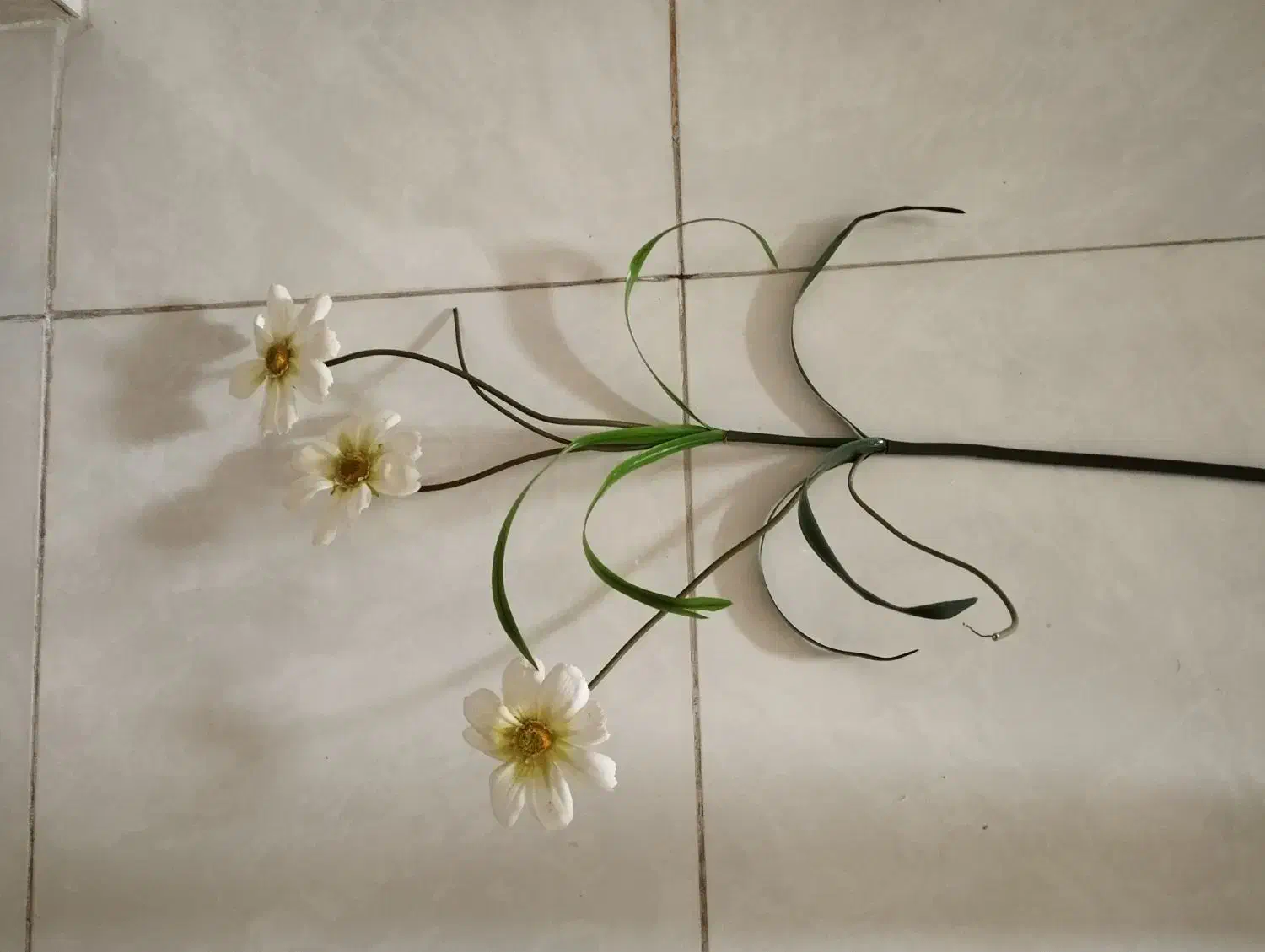 گل مصنوعی|گل مصنوعی|زنجان, |دیوار