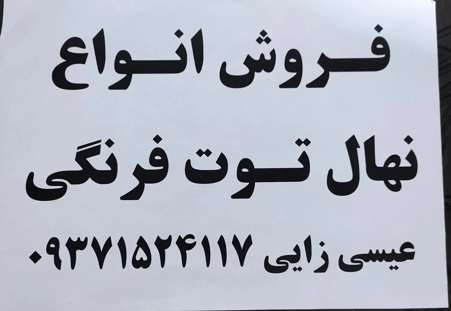 فروش نهال توت فرنگی|عمده‌فروشی|دلند, |دیوار