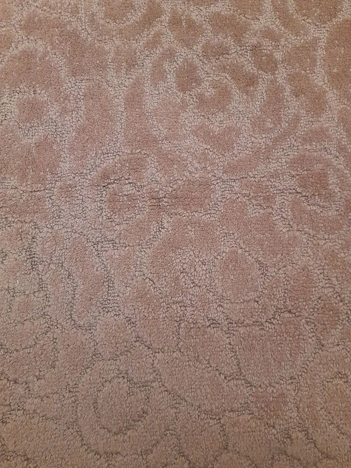 موکت ۶ متری|موکت|اصفهان, همدانیان|دیوار