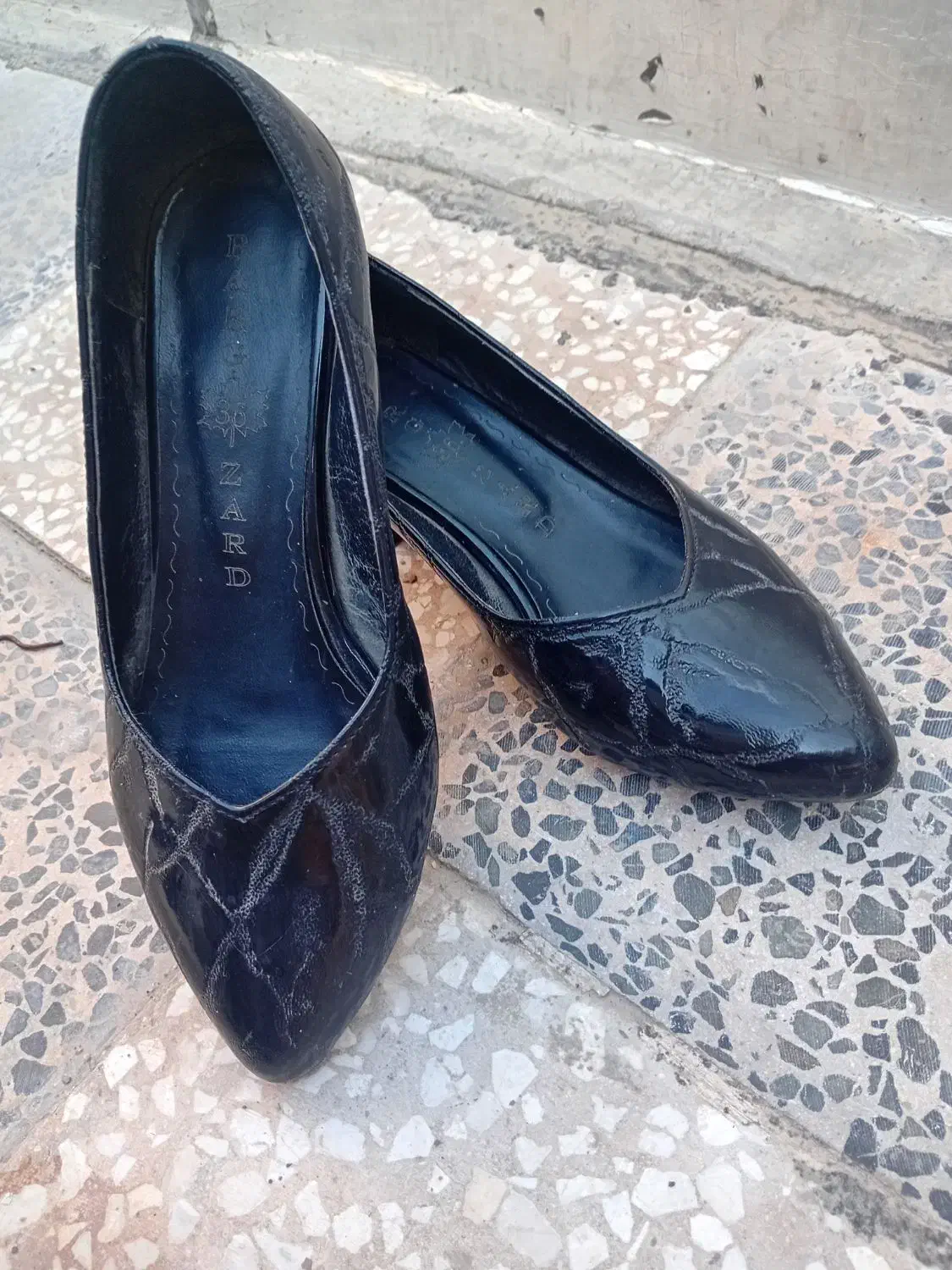 کفش مجلسی|کیف، کفش، کمربند|گنبد کاووس, |دیوار