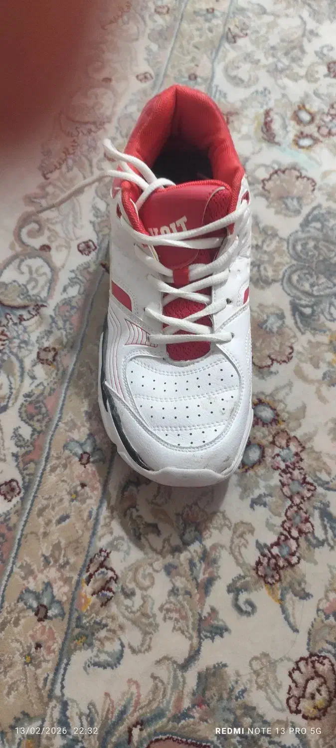 کتونی|کیف، کفش، کمربند|شهریار, شهریار|دیوار