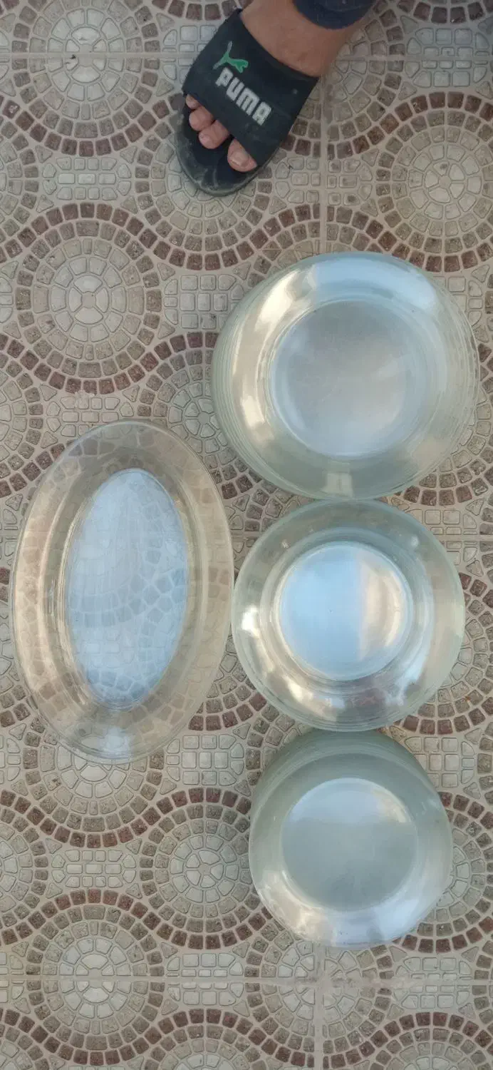 بشقاب فرانسوی|ظروف سرو و پذیرایی|بوشهر, |دیوار