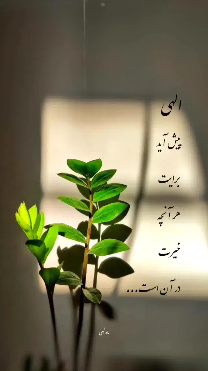 سر کتاب|کتاب و مجله مذهبی|تهران, جهاد|دیوار