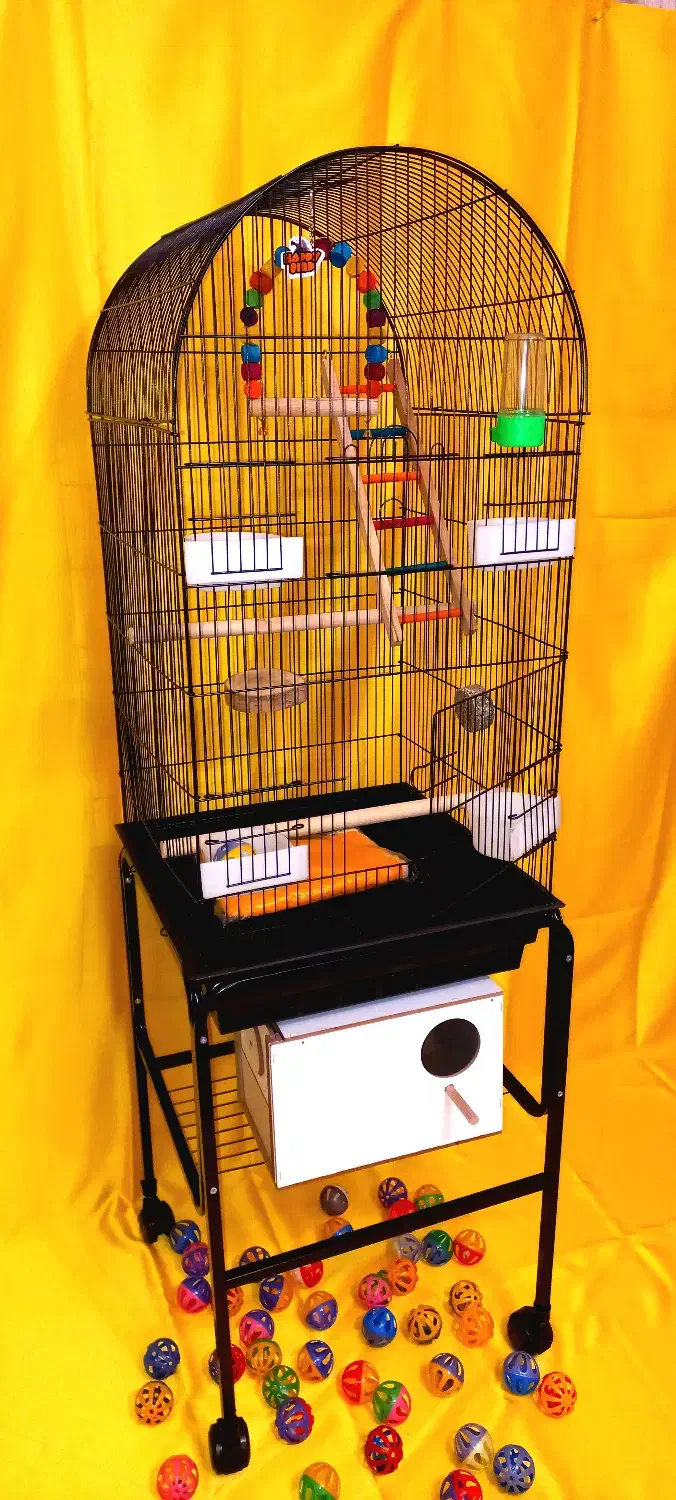 قفس پرنده1متری بزرگ و۱۰۳۳عروس هلندی،طوطی برزیلی|لوازم جانبی حیوانات|تهران, جیحون|دیوار