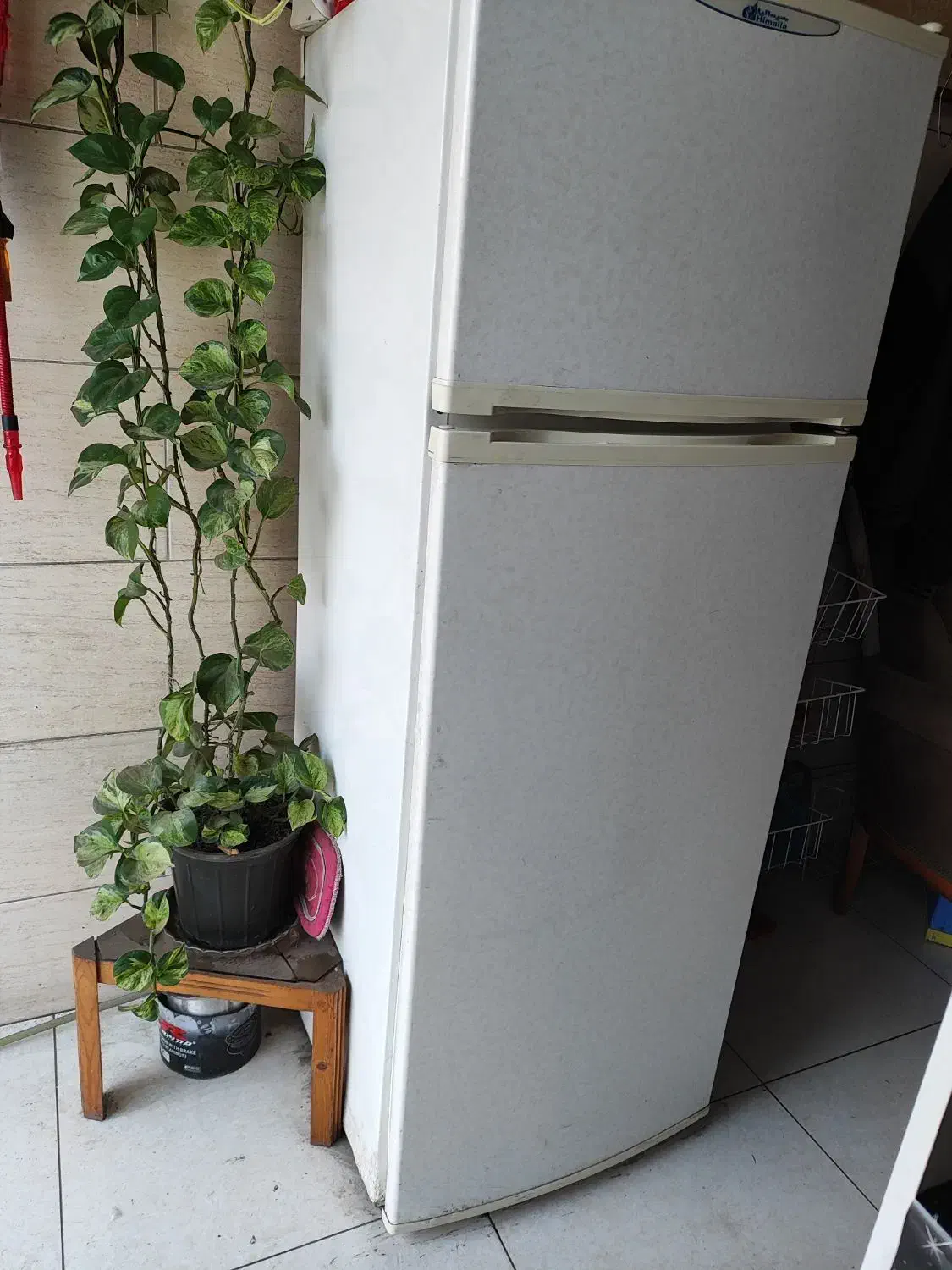 یخچال فریزر هیمالیا|یخچال و فریزر|املش, |دیوار