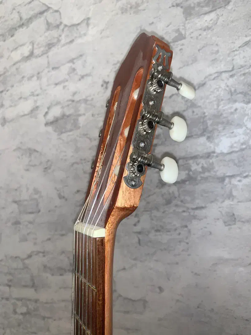 گیتار Aj پاپ کلاسیک|گیتار، بیس، امپلیفایر|تهران, باشگاه نفت|دیوار