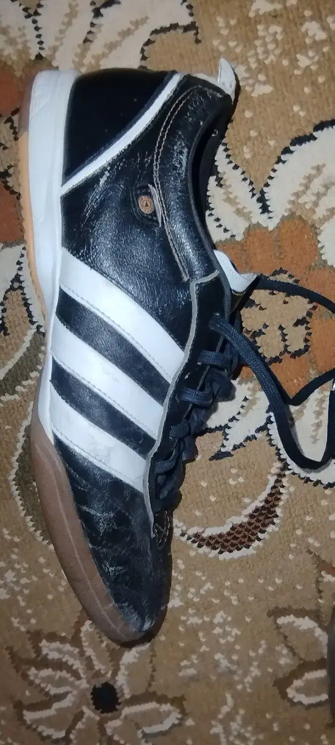 کفش سالن|کیف، کفش، کمربند|فردوس (خراسان), |دیوار