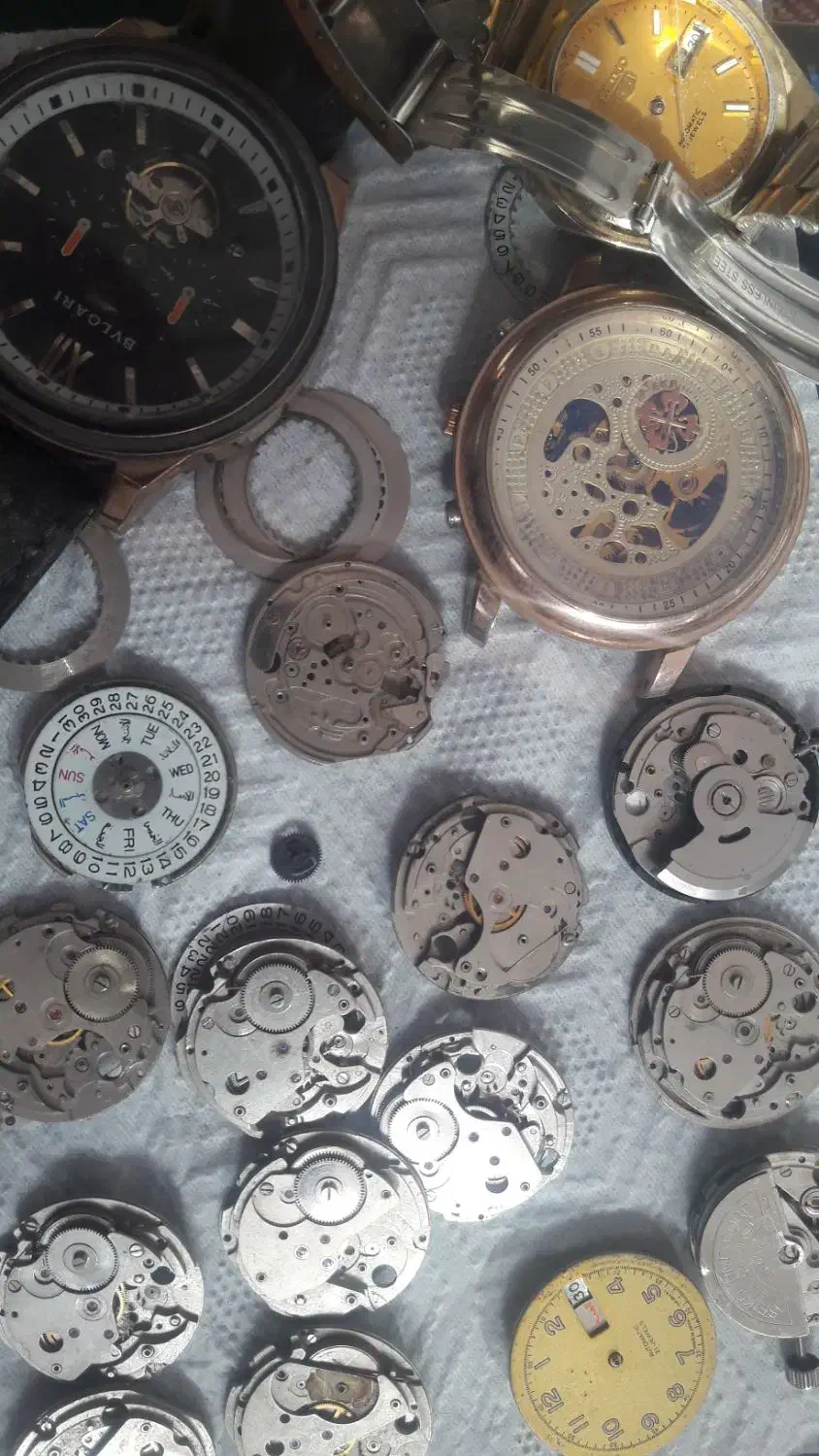 موتورساعت سیکوواورینتو|ساعت|تربتحیدریه, پایانه مسافربری تربت حیدریه|دیوار