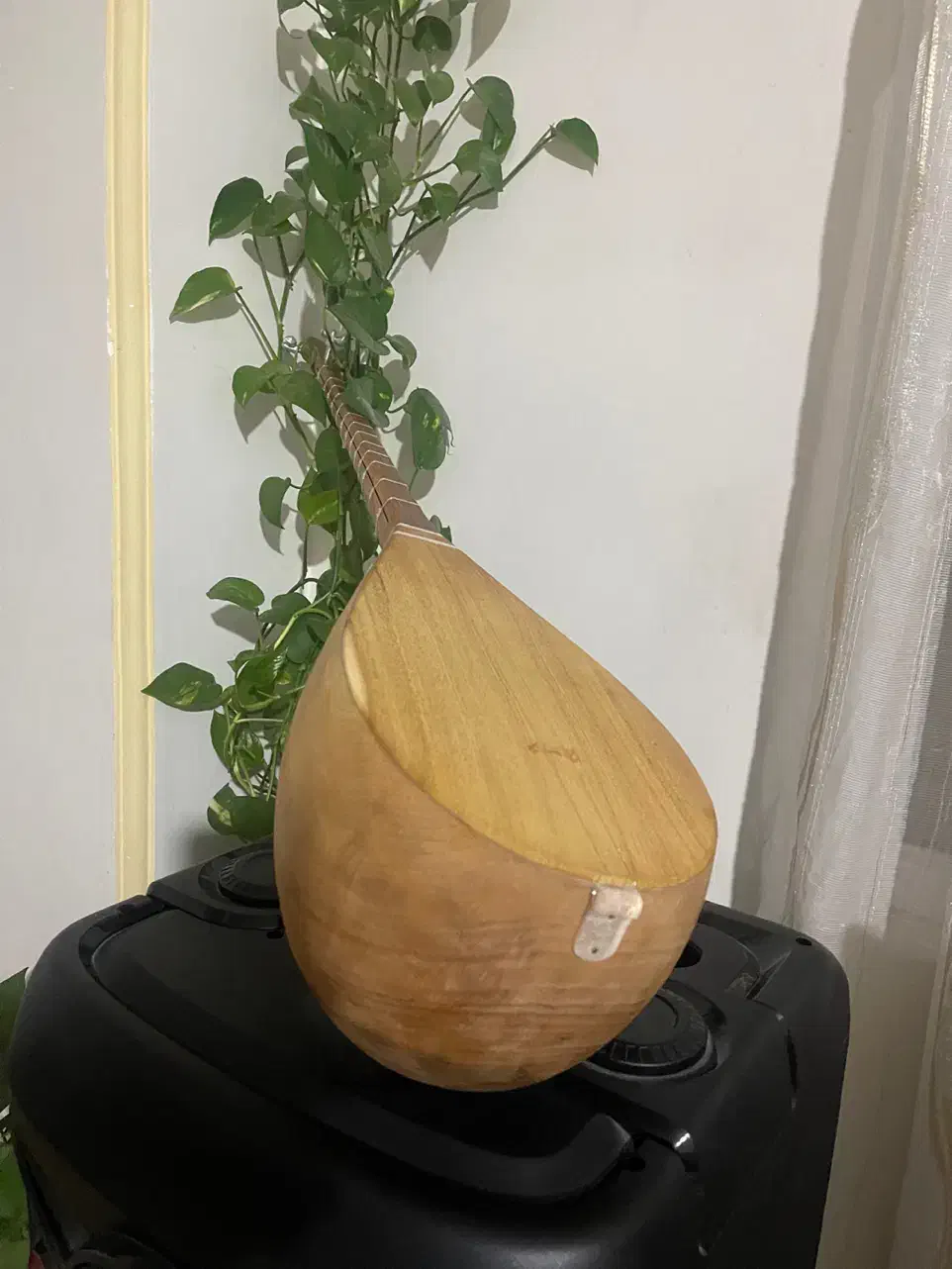 دوتار کاسه بزرگ فوق العاده باکیفیت خوشصدا|سازهای سنتی|بجنورد, |دیوار