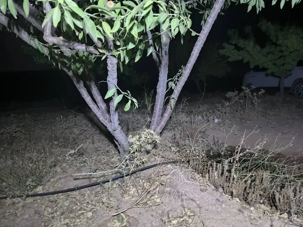 1000متر زمین کشاورزی|فروش زمین و ملک کلنگی|شاهینشهر, بوستان حافظ|دیوار