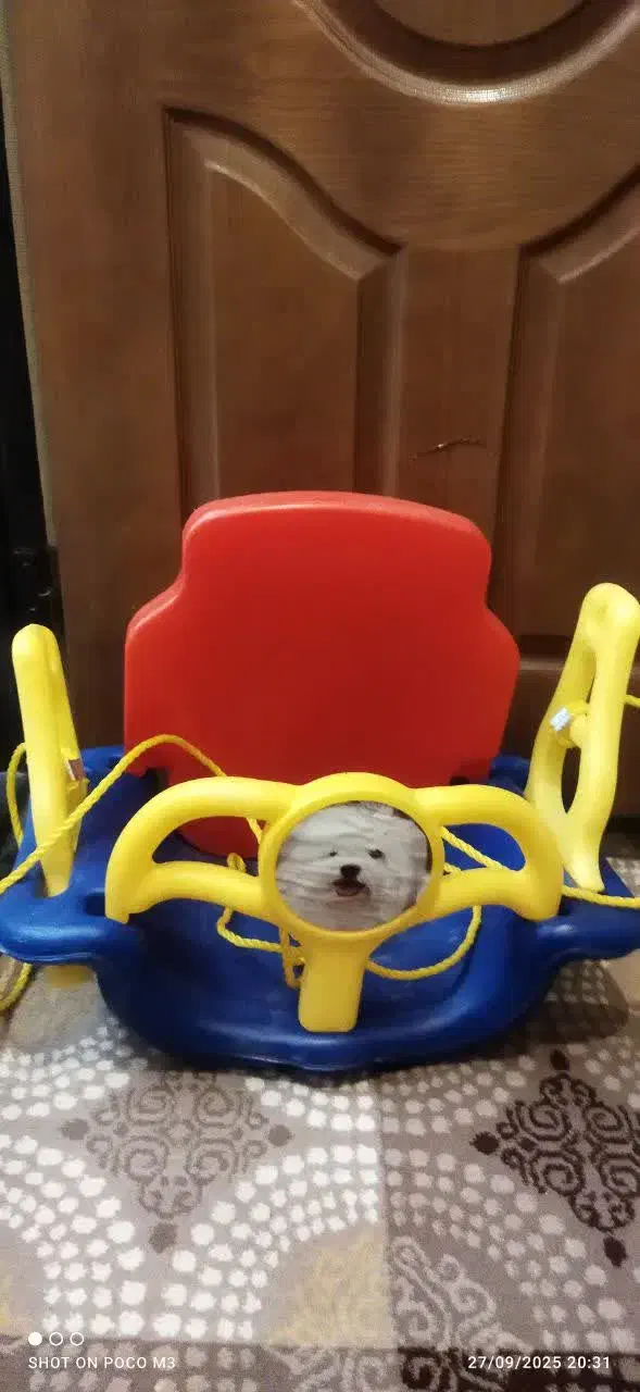 اسباب بازی کودک|اسباب و اثاث بچه|اهر, |دیوار