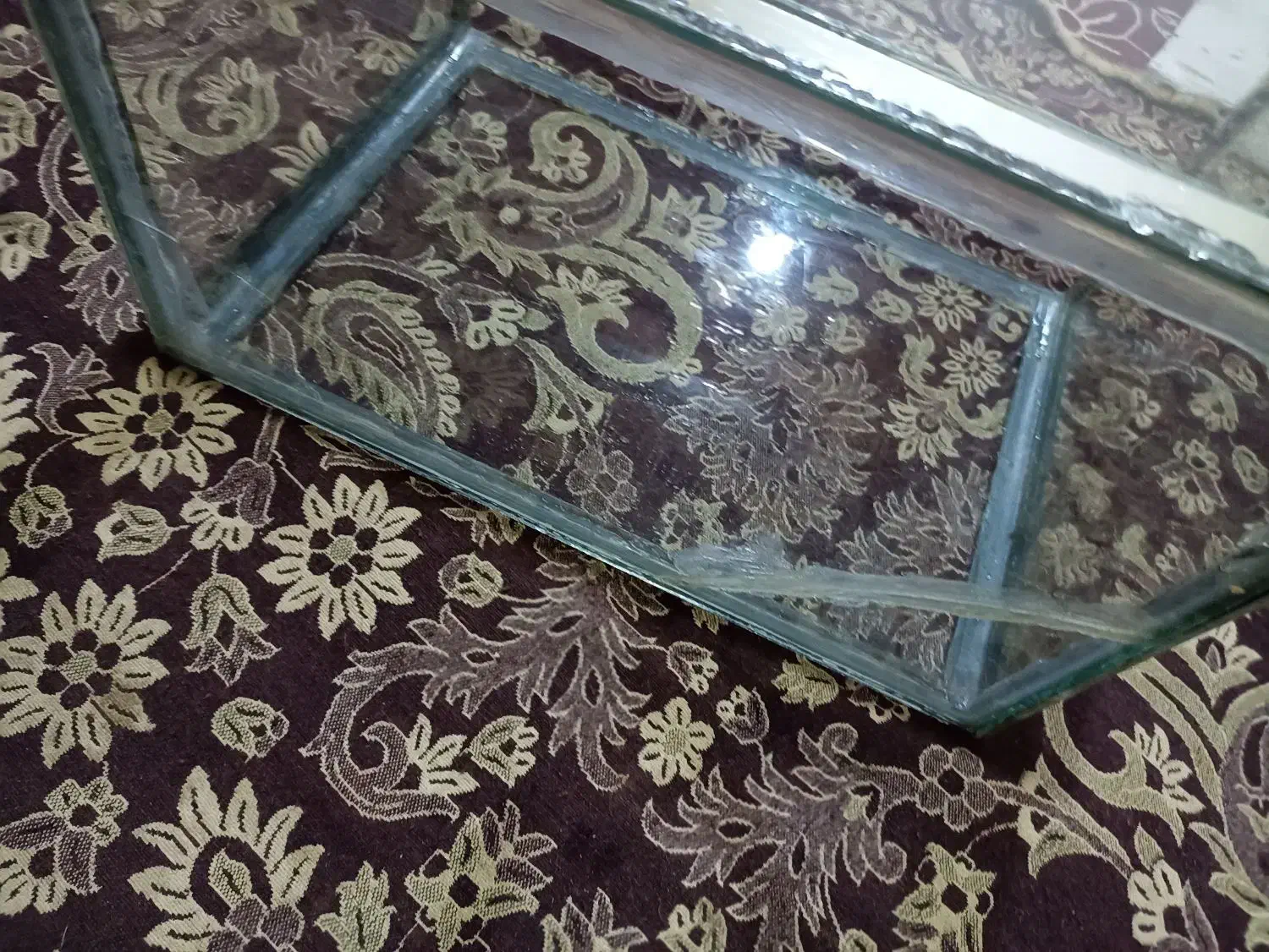 آکواریوم|ماهی|مبارکه, |دیوار