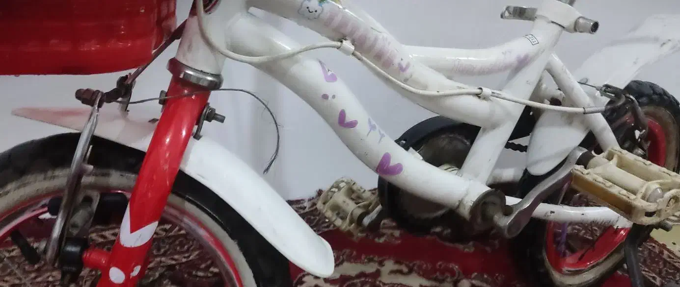 بچگانه،دوچرخه|دوچرخه، اسکیت، اسکوتر|گرگان, |دیوار