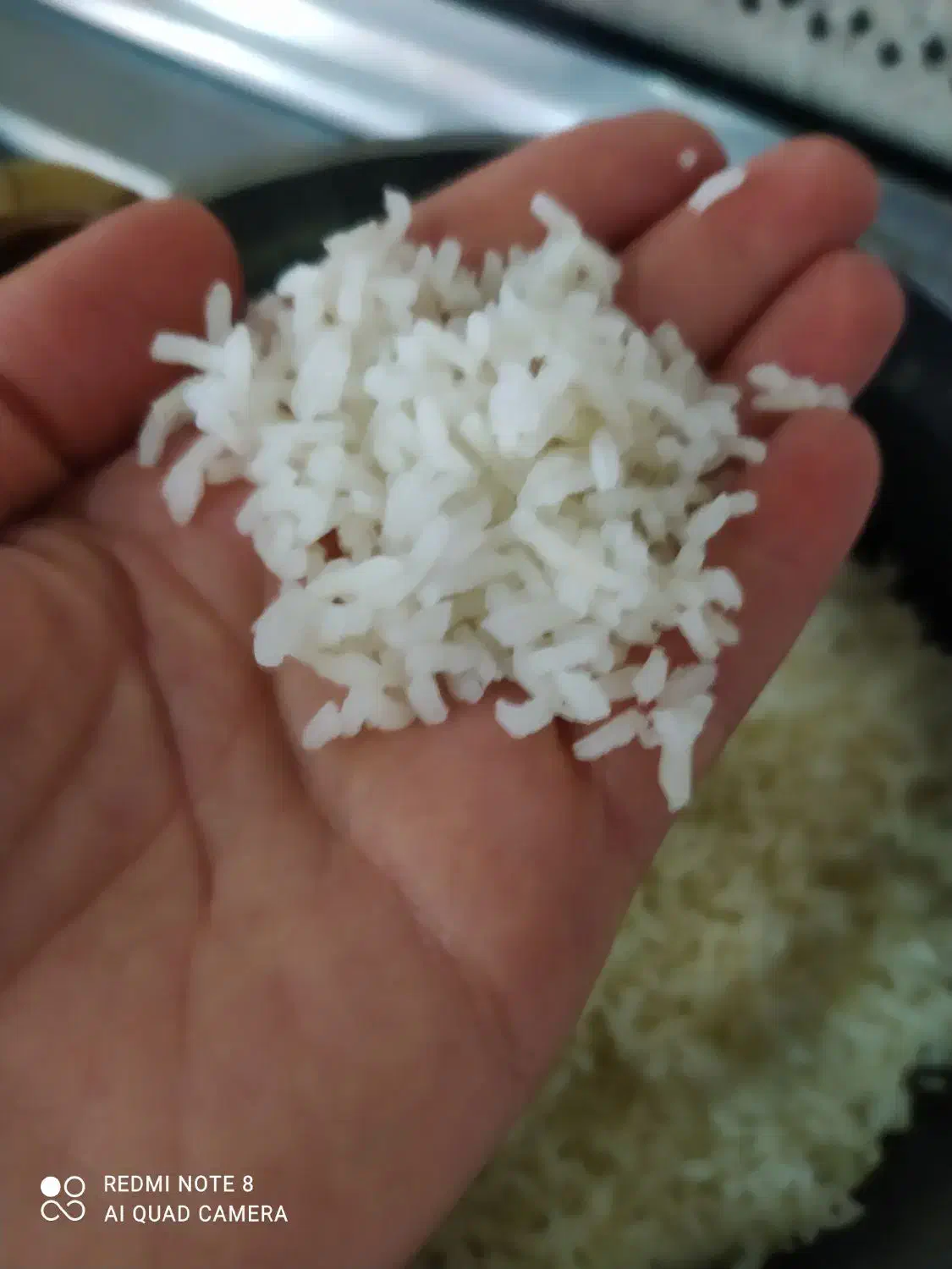 برنج سر لاشه طارم هاشمی شمال معطر خوش پخت|خوردنی و آشامیدنی|اصفهان, کوی امام|دیوار
