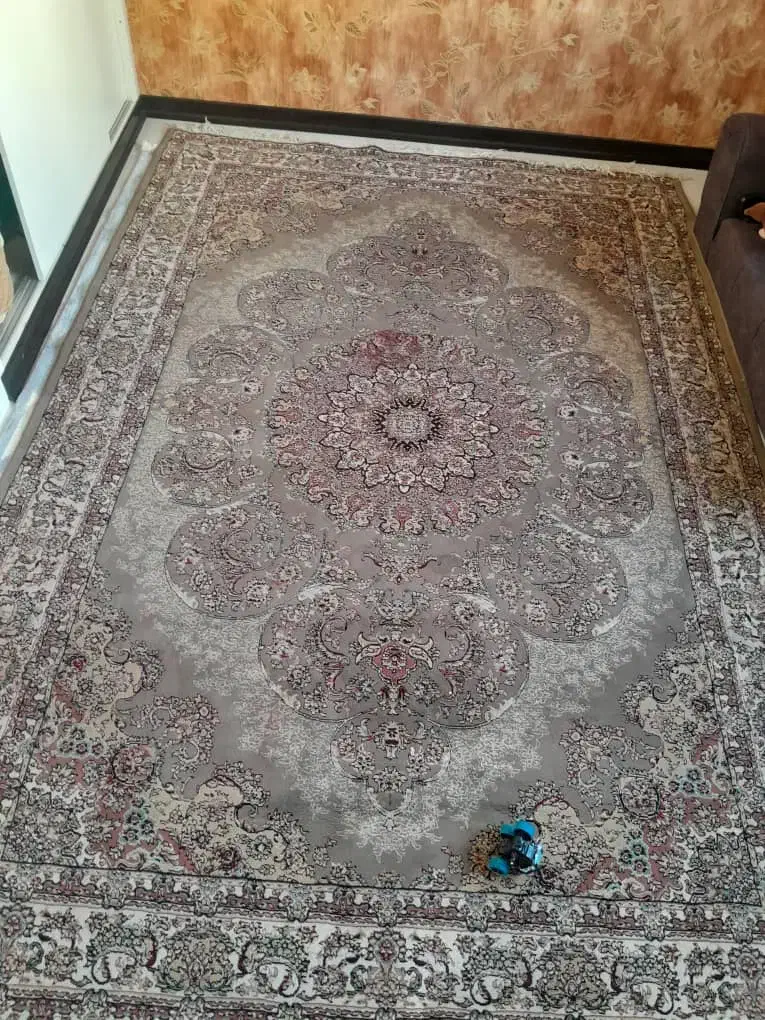 دوعدد فرش ۶متری|فرش|پرند, فاز ۵|دیوار