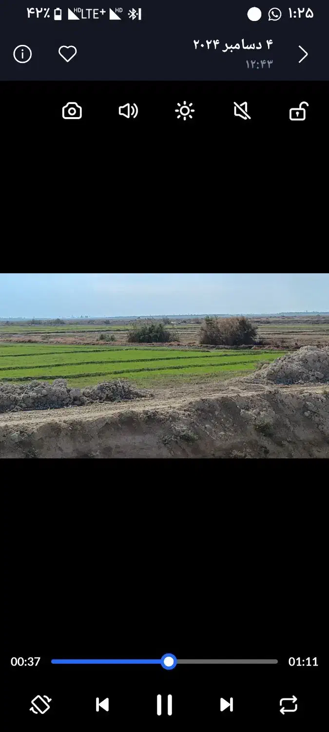 زمین کشاورزی واقع در شادگان|فروش دفتر صنعتی، کشاورزی، تجاری|شادگان, |دیوار