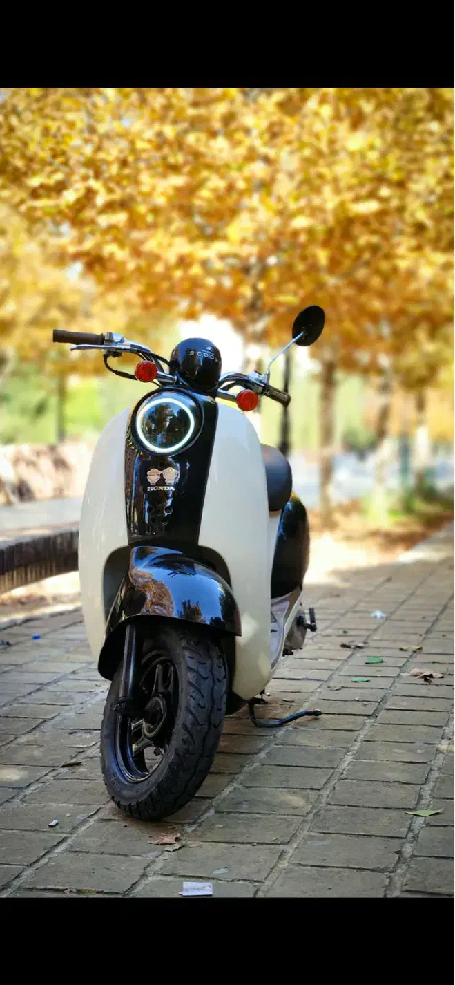 موتور اسکوپی|موتورسیکلت|شیراز, عادل آباد|دیوار