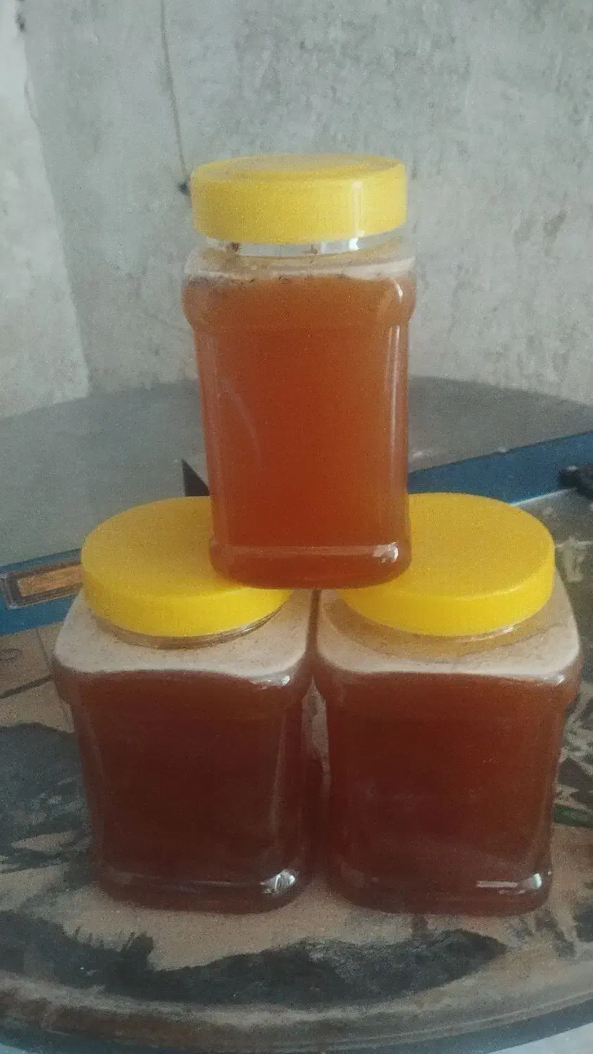 فروش عسل کنار درجه ۱|عمده‌فروشی|خورموج, |دیوار