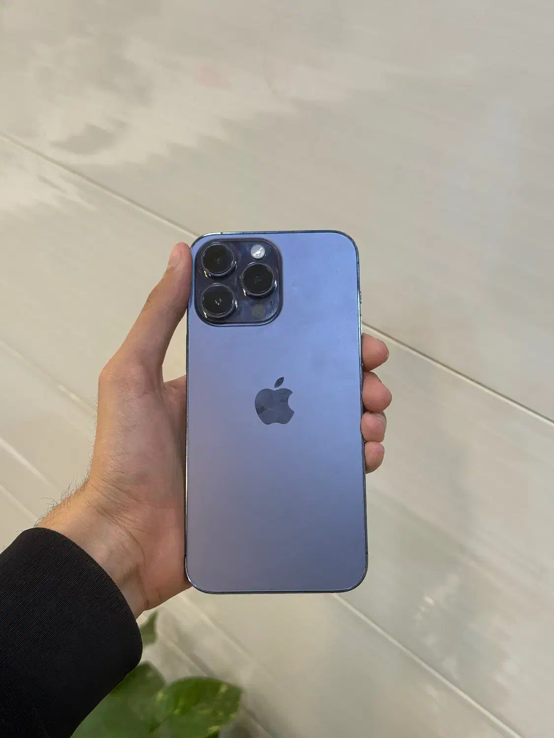 آیفون 14 پرومکس|موبایل|لامرد, |دیوار