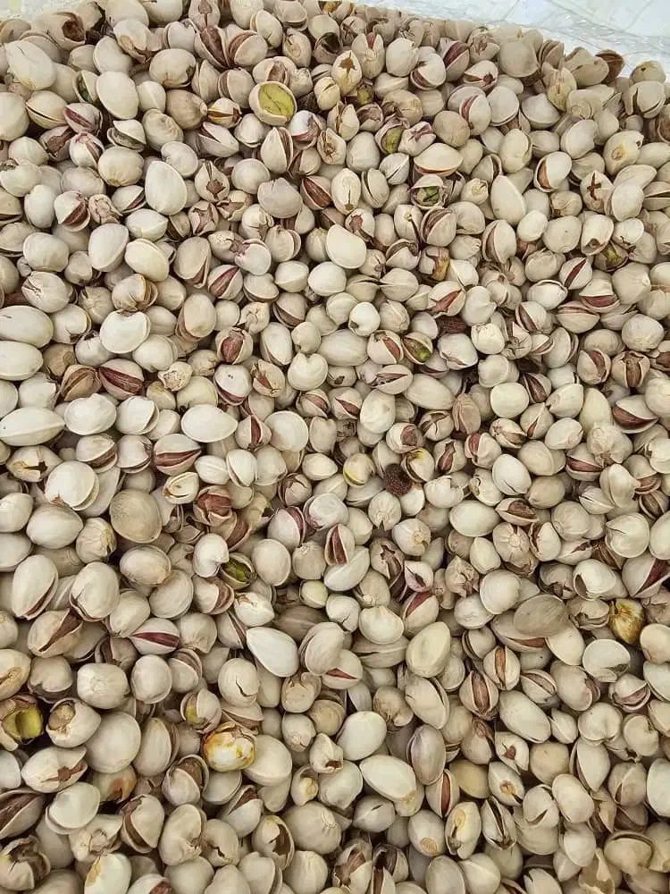 خریدوفروش پسته کالک گو،زردو،نخودو،رو آبی ،مغز|خدمات باغبانی و درختکاری|سیرجان, |دیوار