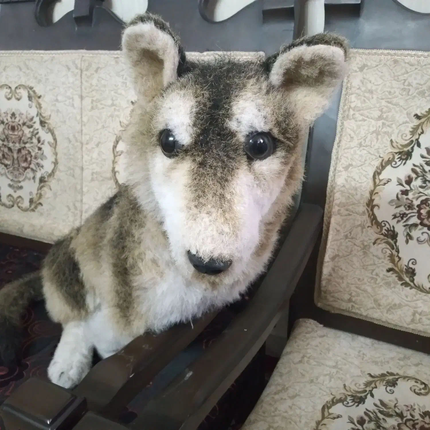 سگ هاپو|اسباب‌بازی بچه|اسلام‌شهر, مظفریه|دیوار