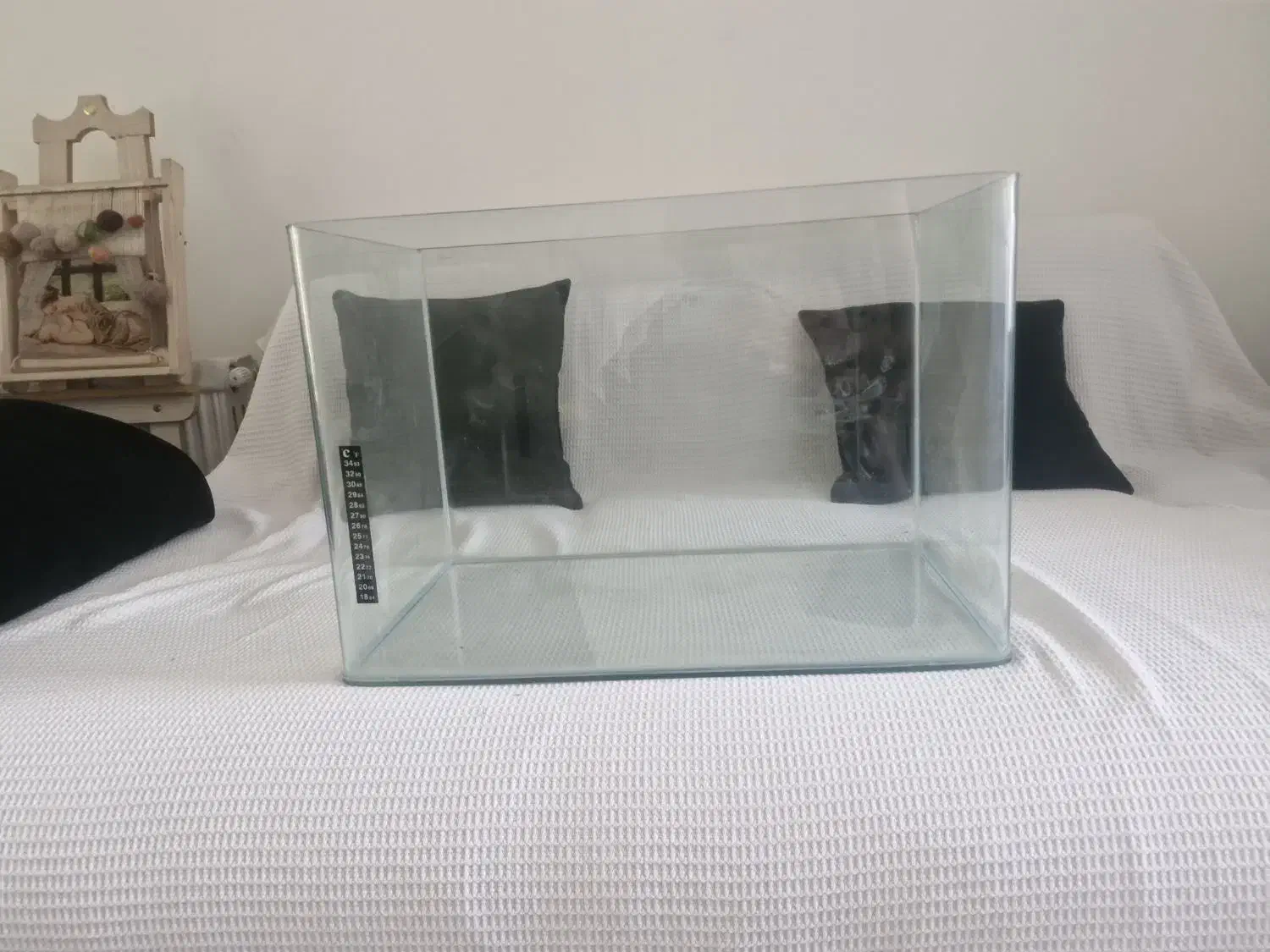 اکواریوم|ماهی|کرج, شهرک فهمیده|دیوار