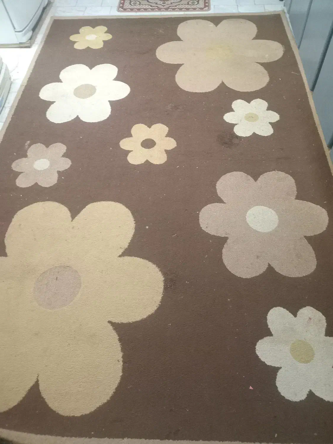 یک عدد گلیم فرش|گلیم، جاجیم، گبه|یزد, |دیوار