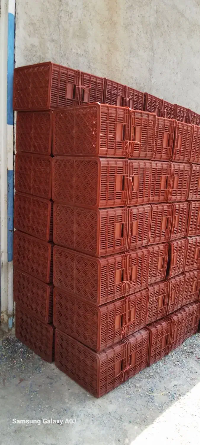 سبد ۲۵ کیلویی با کیفیت درجه یک|عمده‌فروشی|ساری, |دیوار