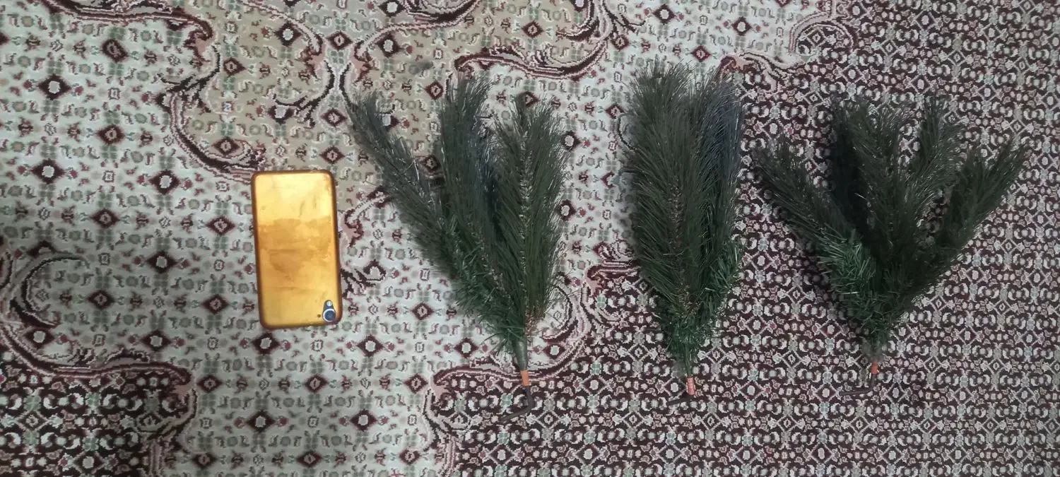 درخت کاج کریسمس اصل USA بدون رنگ رفتگی وتا شو|گل مصنوعی|کرمانشاه, |دیوار