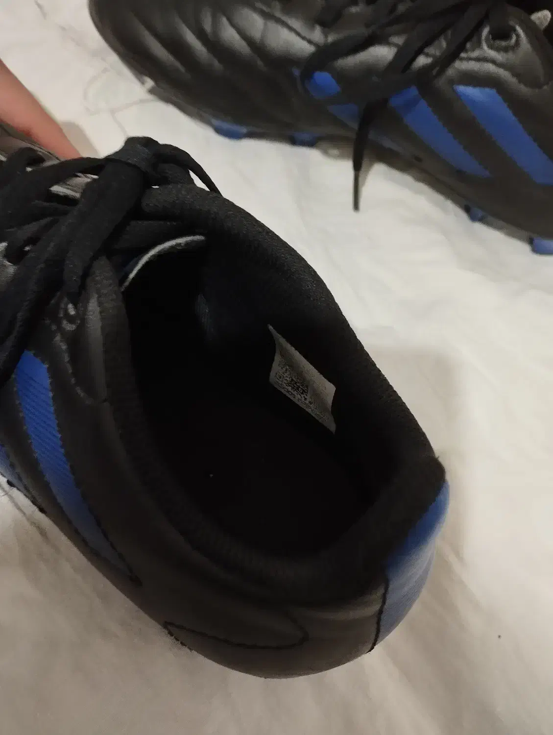 کفش فوتبال مخصوص چمن|کیف، کفش، کمربند|آبیک, |دیوار