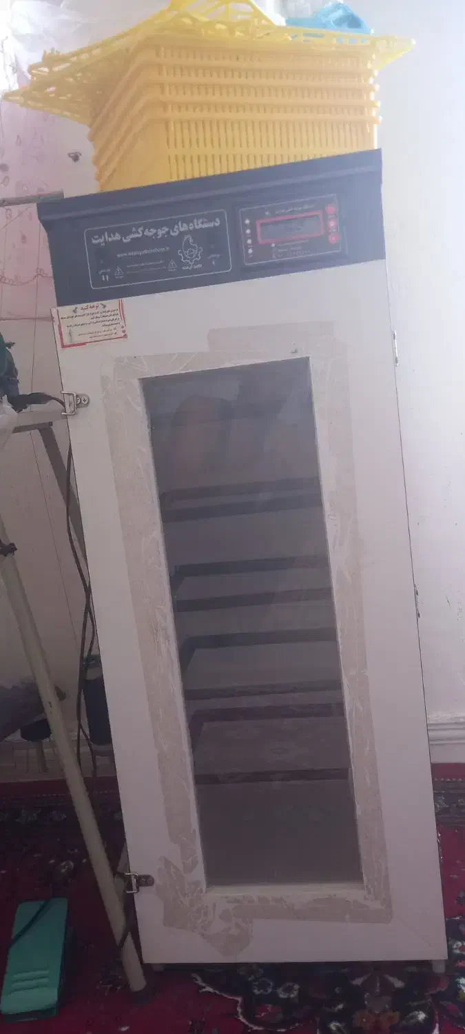 دستگاه جوجه کشی|لوازم جانبی حیوانات|کوهدشت, |دیوار