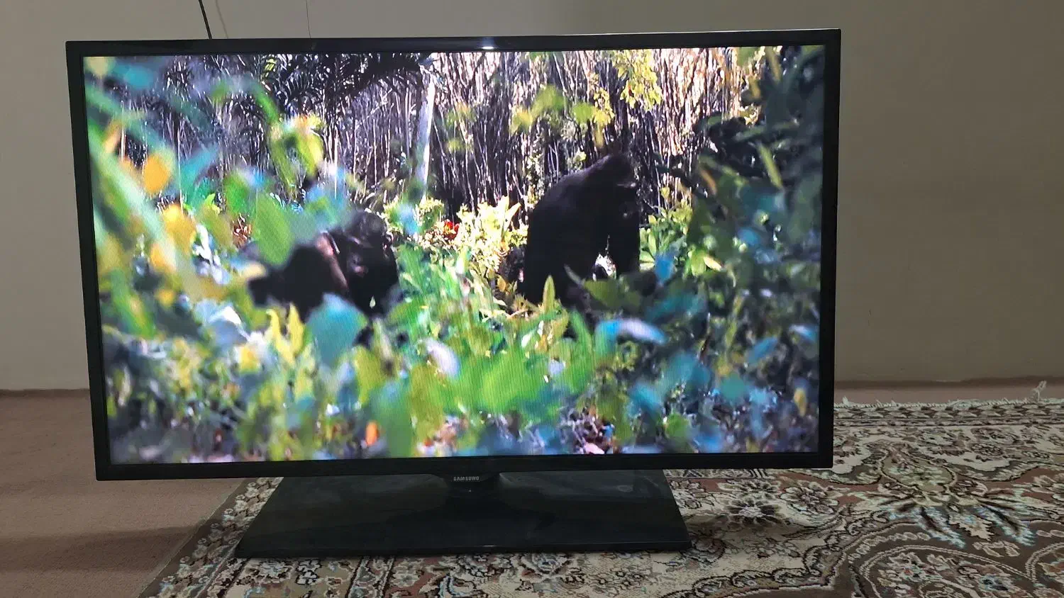 تلویزیون LED سامسونگ اصل ۴۰ اینچ|تلویزیون و پروژکتور|قرچک, مهدیه|دیوار