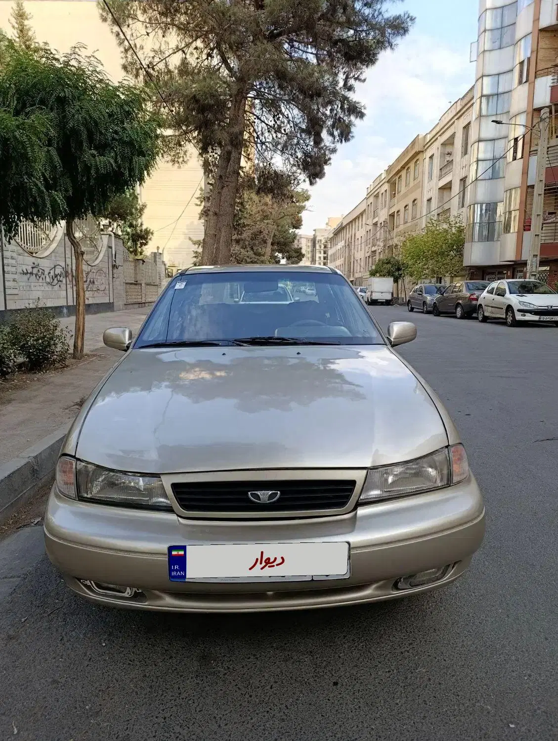 دوو|خودرو سواری و وانت|فردیس, طالقانی|دیوار