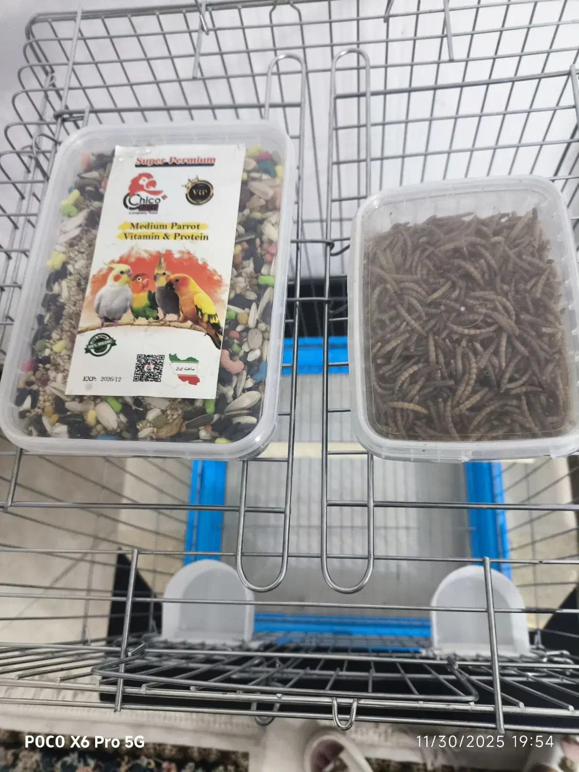 قفس عروس هلندی همراه با غذا تقویتی|لوازم جانبی حیوانات|ایلام, |دیوار