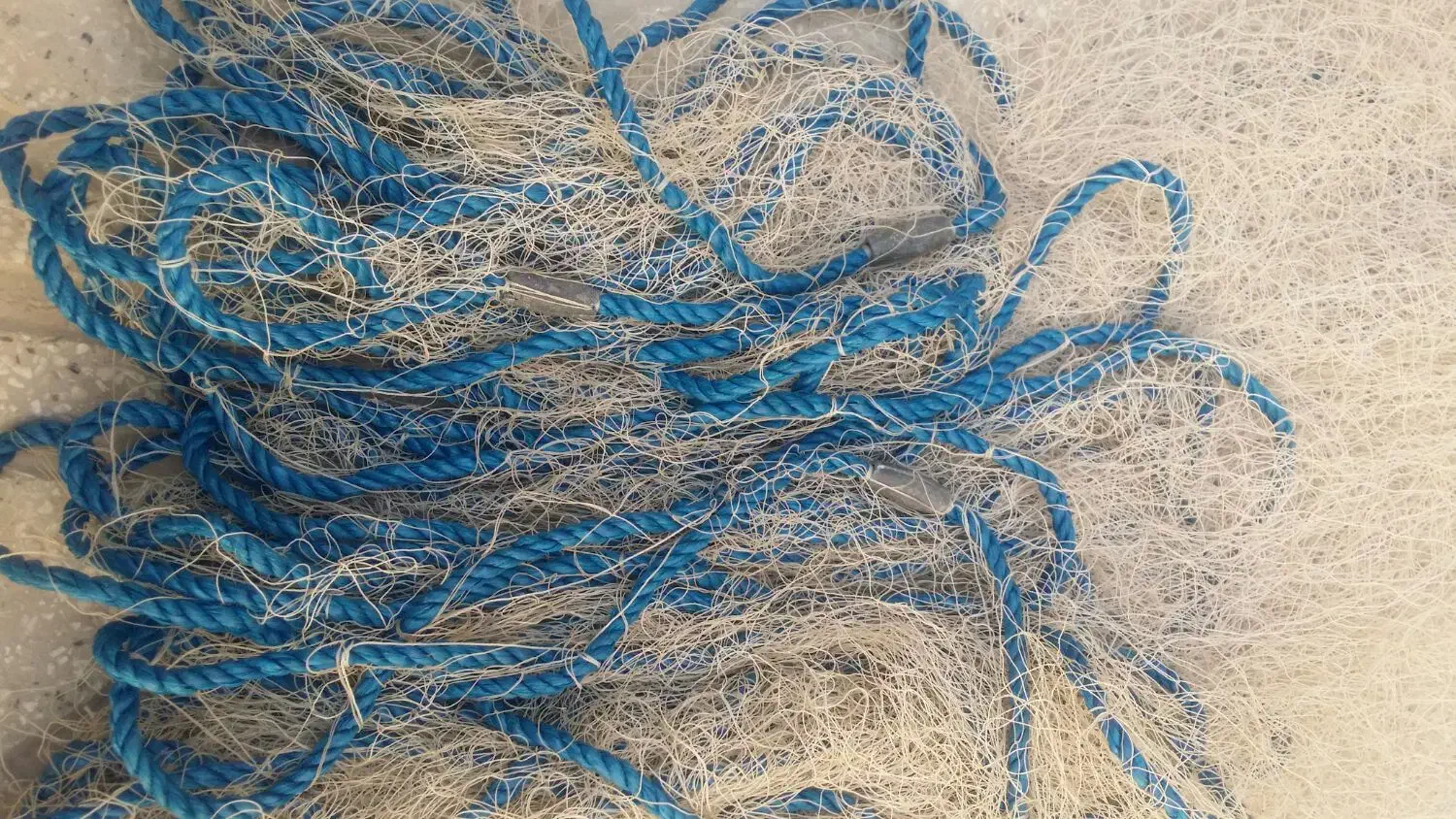 تور|ماهیگیری|کازرون, |دیوار