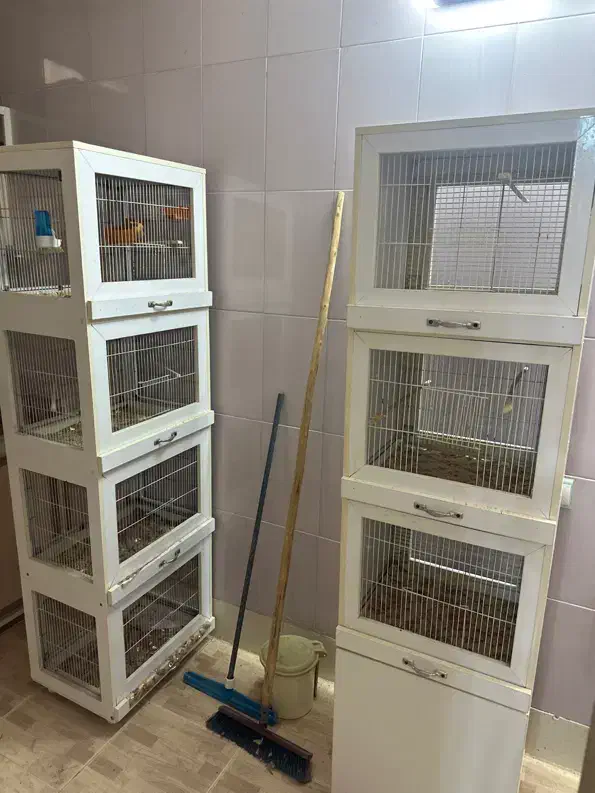 قفس پرنده|لوازم جانبی حیوانات|یزد, |دیوار