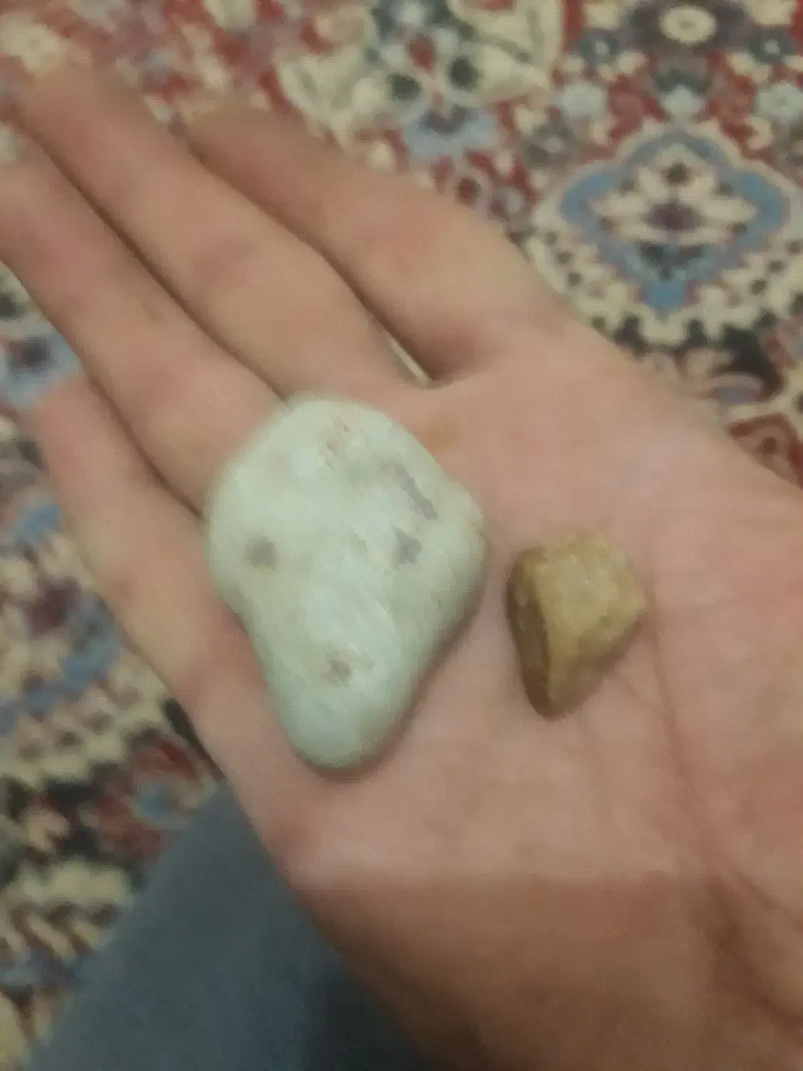 سنگ لاجورد راف .فسیل سر مار|جواهرات|اراک, |دیوار