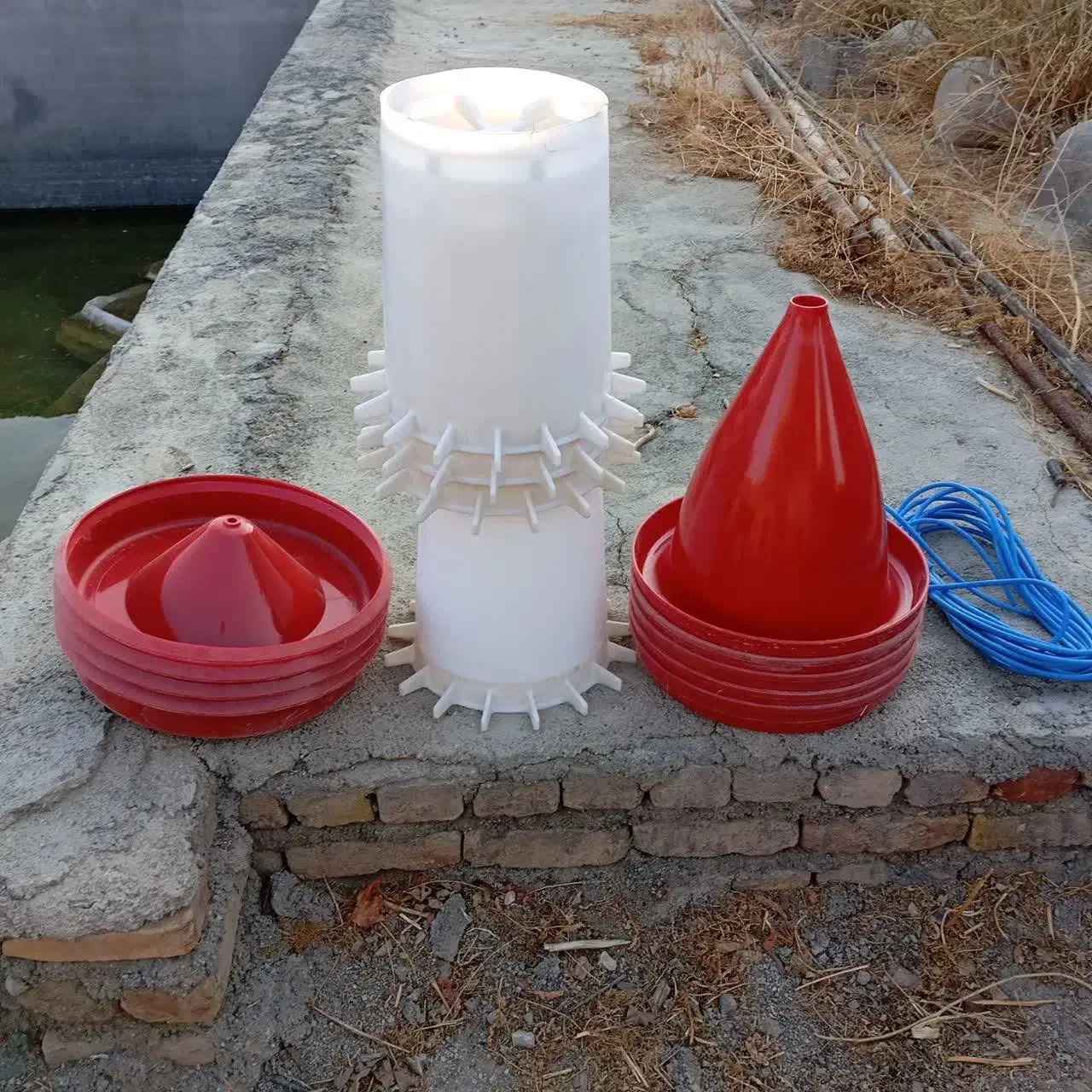 دانخوری و آبخوری مکانیزه صنعتی مرغداری نو|لوازم جانبی حیوانات|پاکدشت, پاکدشت (مامازند)|دیوار