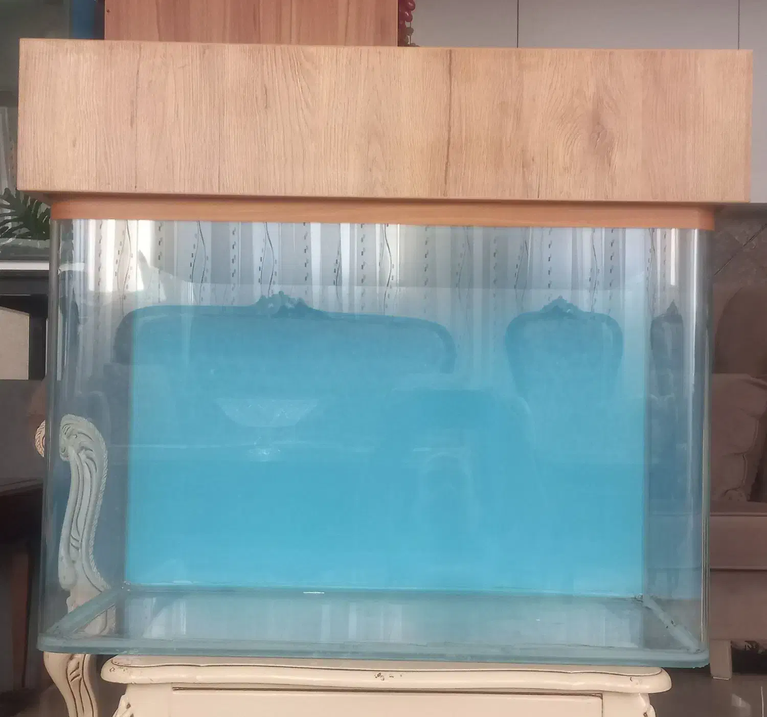 اکواریوم ۳ سایز ، خاک بستر ، فیلتر ، سنگ و شن|ماهی|قم, زنبیل آباد|دیوار